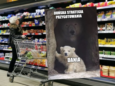 Dania szykuje się na totalną awarię internetu, rząd chce dostosować handel i sugeruje mieć zapas gotówki
