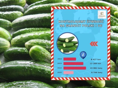IJHARS kontroluje ogórki na granicy. Odrzuconych ponad 100 ton