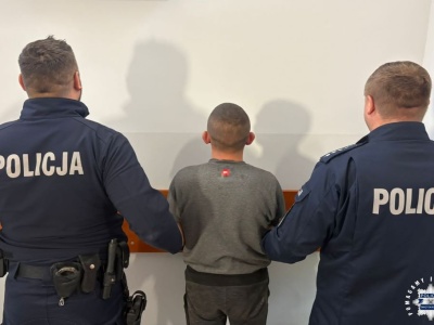 Agresywny kibic wtargnął na murawę podczas meczu
