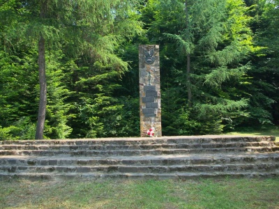 Są pieniądze na pięć wyjątkowych pomników na Podkarpaciu. Upamiętnią historię Wojska Polskiego