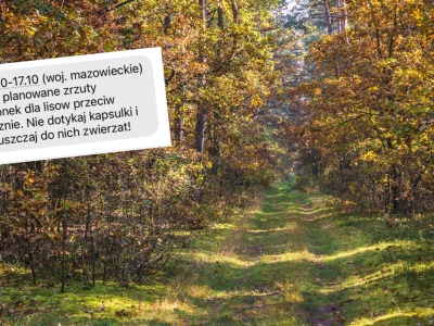 Alert RCB dla trzech województw. Pilny apel do mieszkańców