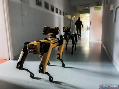 Policyjny „robopies” w akcji. Czy to przyszłość służb mundurowych? (Galeria)