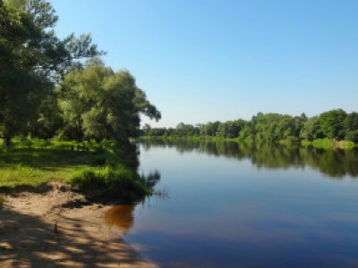 Rusza projekt ratowania mokradeł pod Warszawą