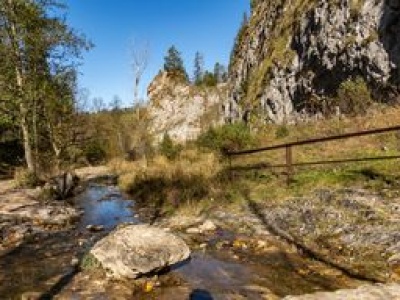 Wąwóz Homole – Rezerwat Przyrody i Perła Małych Pienin