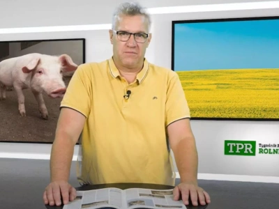 Zboża obrodziły wszędzie. Rolnicy pytają: kto za to zapłaci?