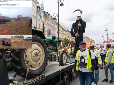 Kolejny dramat rolnika! Wysypał na pole 150 t ziemniaków