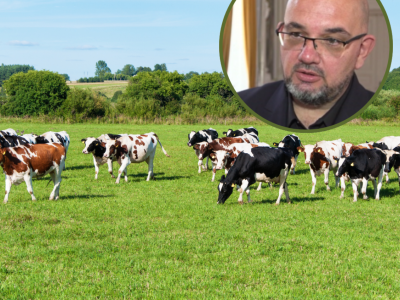 Polskie mleczarnie się łączą. Ekspert ostrzega przed tym, co może nadejść