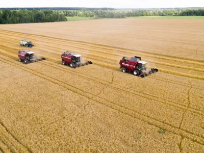Import ukraińskich produktów rolnych do UE oficjalnie zatwierdzony. Ukraina w UE staje się faktem