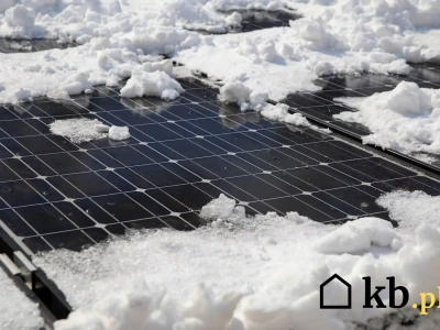 Największy błąd właścicieli PV: przez niego tracą nawet 20% energii