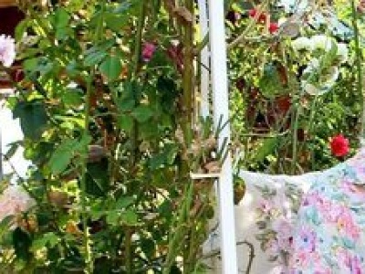 Różany sukces rodzinnej manufaktury z Końskowoli