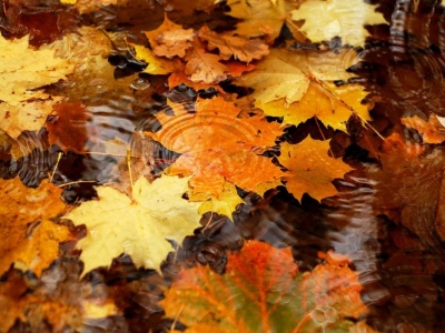 Prognoza pogody na tydzień 17.10 – 23.10.2025