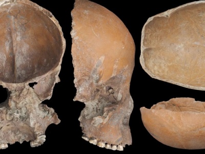 Czaszki sprzed 5 tys. lat przerobione na naczynia. Tajemnica kultury Liangzhu