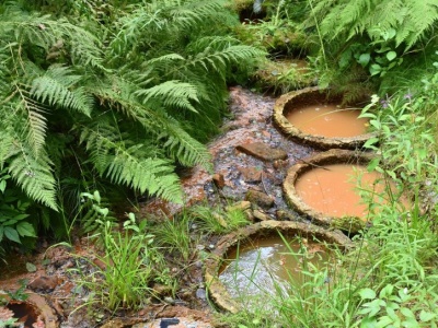 Niezwykła atrakcja w Beskidach. Mofety uwalniają dwutlenek węgla z głębi Ziemi