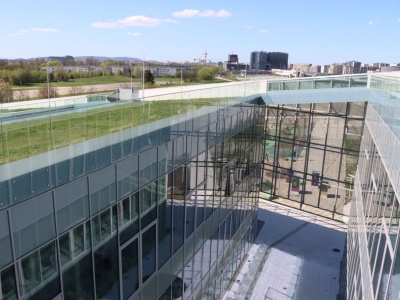 Cogiteon ma nowego dyrektora