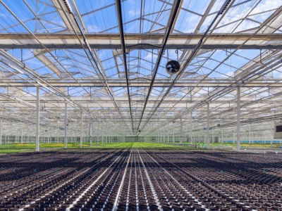 SVI o roli branży hydroponicznej w bezpieczeństwie żywnościowym kraju