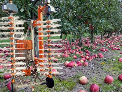 W pełni mechaniczne otrząsanie jabłek – nowa maszyna na rynku