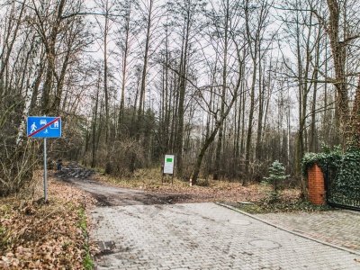 Dziecko zgubiło się w lesie. Trafiło na NICH