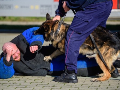 Strzały, napad i poszukiwanie narkotyków. Spokojnie, to tylko ćwiczenia!