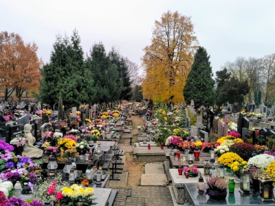 Sprzątanie grobów za darmo. Miasto przygotowało specjalną usługę