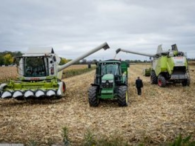 Ostatnie żniwa w tym roku. Oto jak idą zbiory na południu