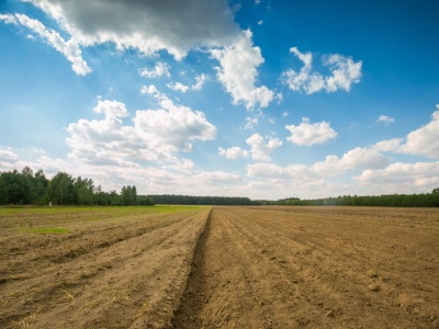 Glony zamiast chemii. Starożytna metoda wraca na europejskie pola