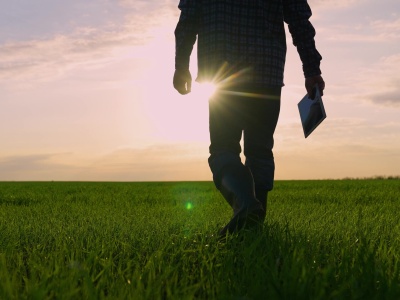 Dofinansowanie dla organizacji producentów rolnych