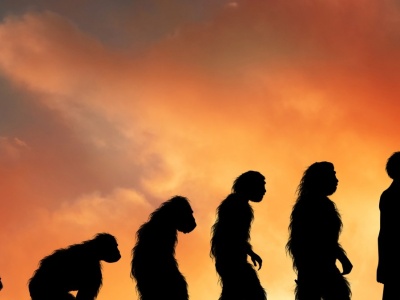 Kontrowersyjny sekret przetrwania naszych przodków. Jedli padlinę