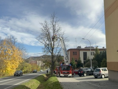 Gałęzie zagrażały kierowcom. Szybką akcją służb. Andrychów