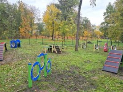 Plac zabaw dla psów w Pile – nowa przestrzeń do zabawy i treningu