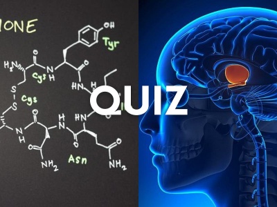 W tym quizie pytamy o hormony. Kto zdobędzie tutaj okrągłe 11/11?
