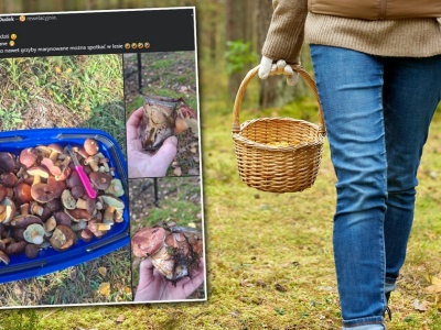 Poszła na grzyby, ale czegoś takiego się nie spodziewała. Co za 