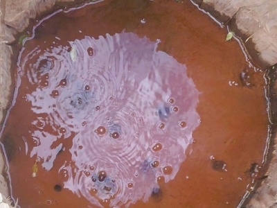 Tajemnicze bulgotanie z głębi ziemi. Mofeta w Tyliczu skrywa sekret PRL-u