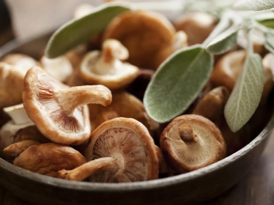 Komputer stworzony z grzybów. Brzmi jak szaleństwo, ale to działa