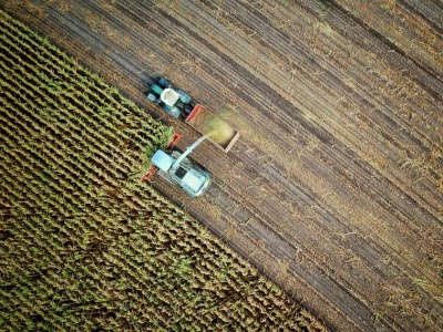 Sztuczna inteligencja w rolnictwie: jak AI i robotyka zmieniają przyszłość polskich gospodarstw