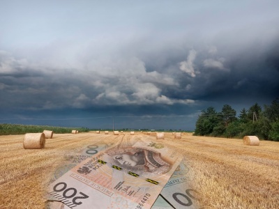 Dopłaty dla rolników po klęskach pogodowych: Czas złożyć wniosek. Ile wyniesie pomoc?