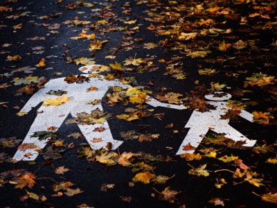 Zapraszamy na listopadowe warsztaty!