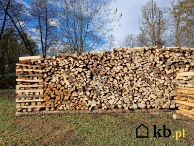 Nie każde drewno grzeje tak samo! Zobacz, które pali się najdłużej i daje najwięcej ciepła