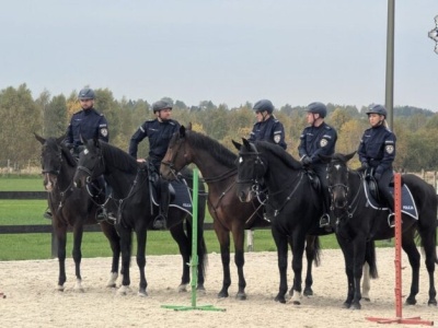Donald i Rokita dołączają do służby. Policyjne konie zdały egzamin z sukcesem