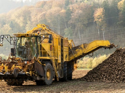 Cukrownie tną ceny buraków i kontraktacje. „Nie wpuszczać nowych plantatorów!”
