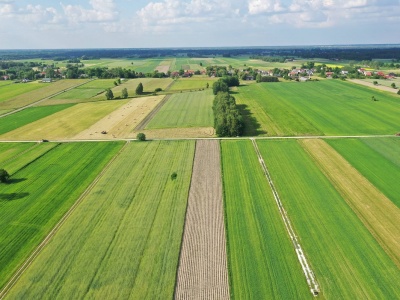 Rząd zamraża sprzedaż państwowej ziemi. Zakaz potrwa aż do 2036 roku