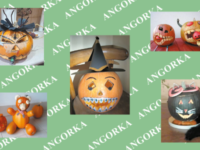 Wyniki konkursu. Wybraliśmy najpiękniejsze dynie!