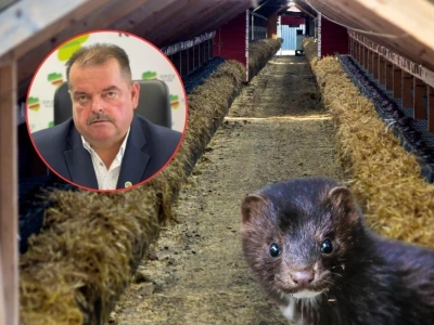 „Coś tu jest nie tak”. Rolnicy apelują do prezydenta Nawrockiego