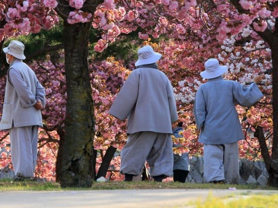 Pogoda i temperatury w Korei Południowej – kiedy jechać na wakacje z Planet Escape?