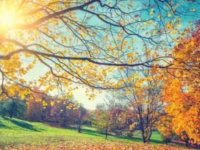 IMGW podało najnowsze prognozy. Pogoda zaskoczy Polaków, termometry wskażą nawet 20 stopni