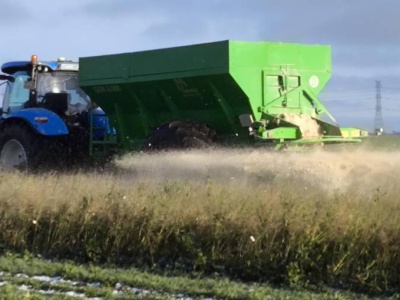 Wapnowanie gleb – to nie tylko kwestia pH