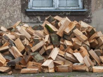 Ceny opału w nadleśnictwach. Tyle kosztuje metr drewna