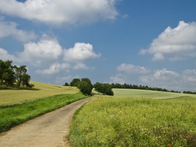Afera działkowa wokół CPK nabiera tempa. KOWR i Piotr Wielgomas prezentują sprzeczne stanowiska