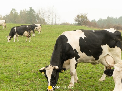 Rolnicy walczą z hałasem strzelnicy. 