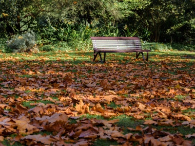 Pogoda na środę. Mało deszczu, ale i mało słońca