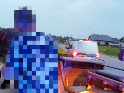 Trzech wesołych mężczyzn jechało zaprzęgiem konnym. Jeden trafił do szpitala, dwóch do celi